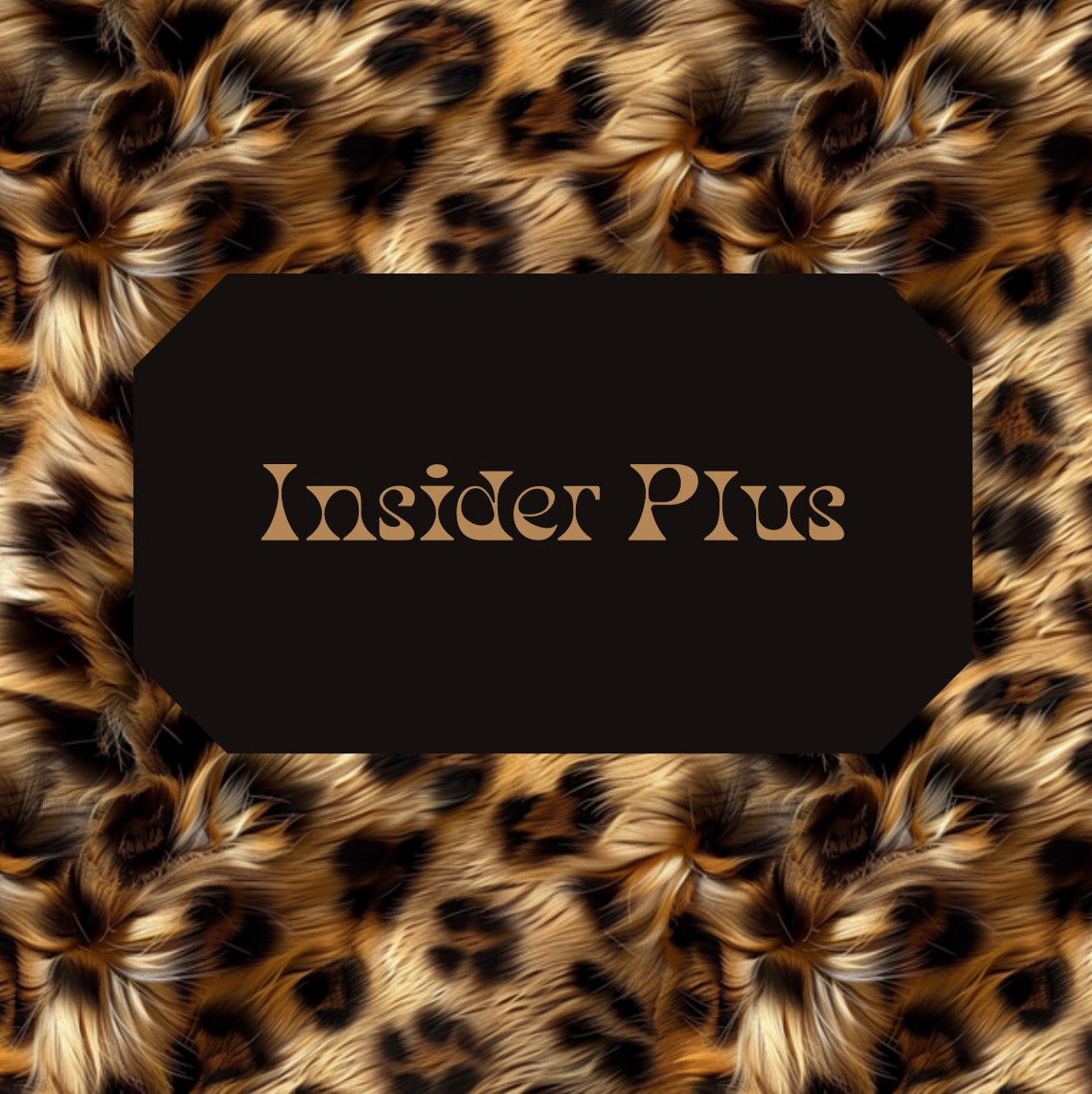 Insider Plus✨🍒