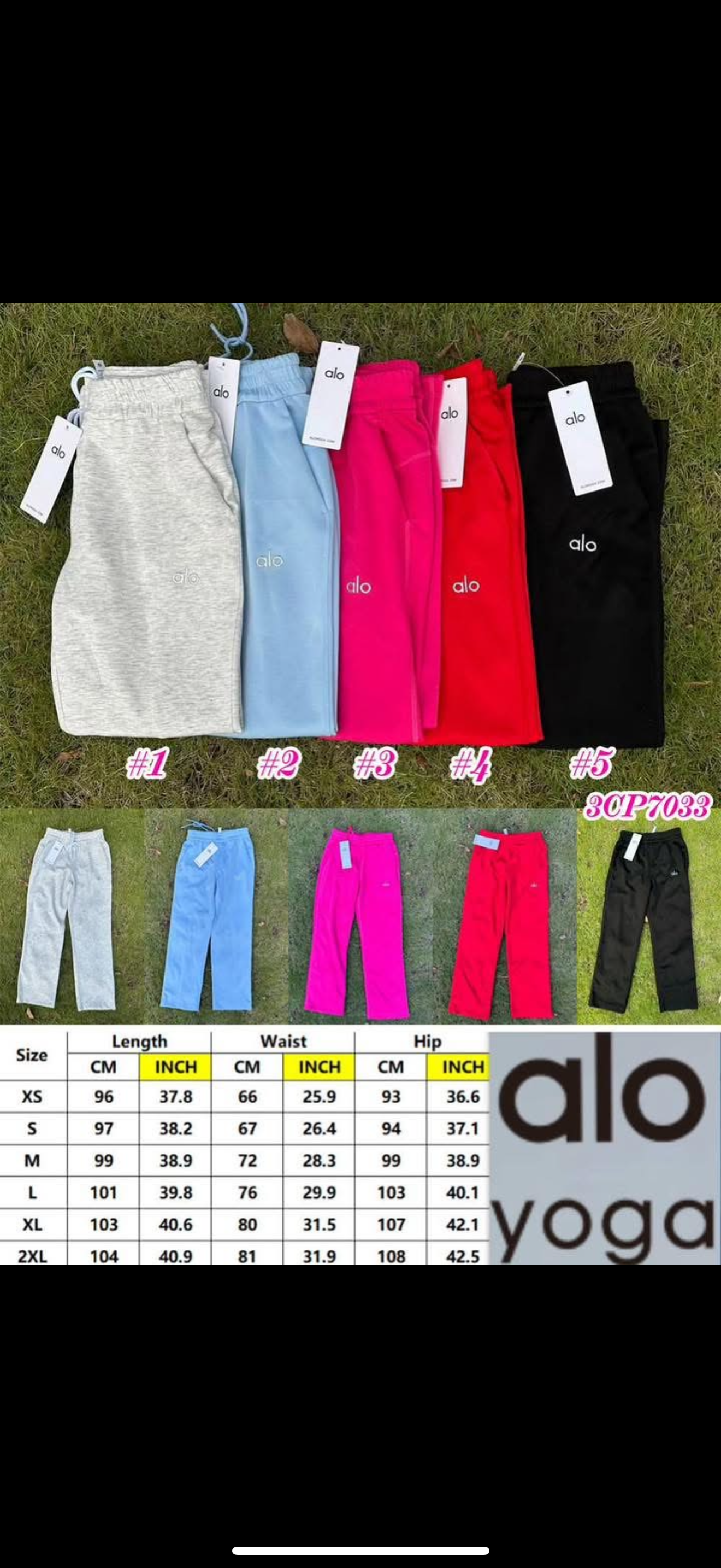 Alo Sweats